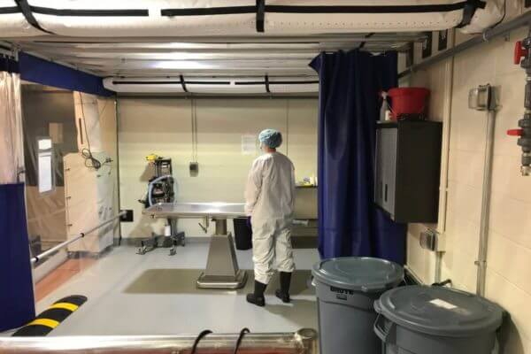 housing and procedural space in one cleanroom for scid pigs